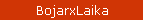 BojarXLaika