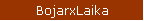 BojarxLaika