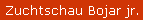 Zuchtschau Bojar jr.