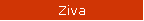 Ziva